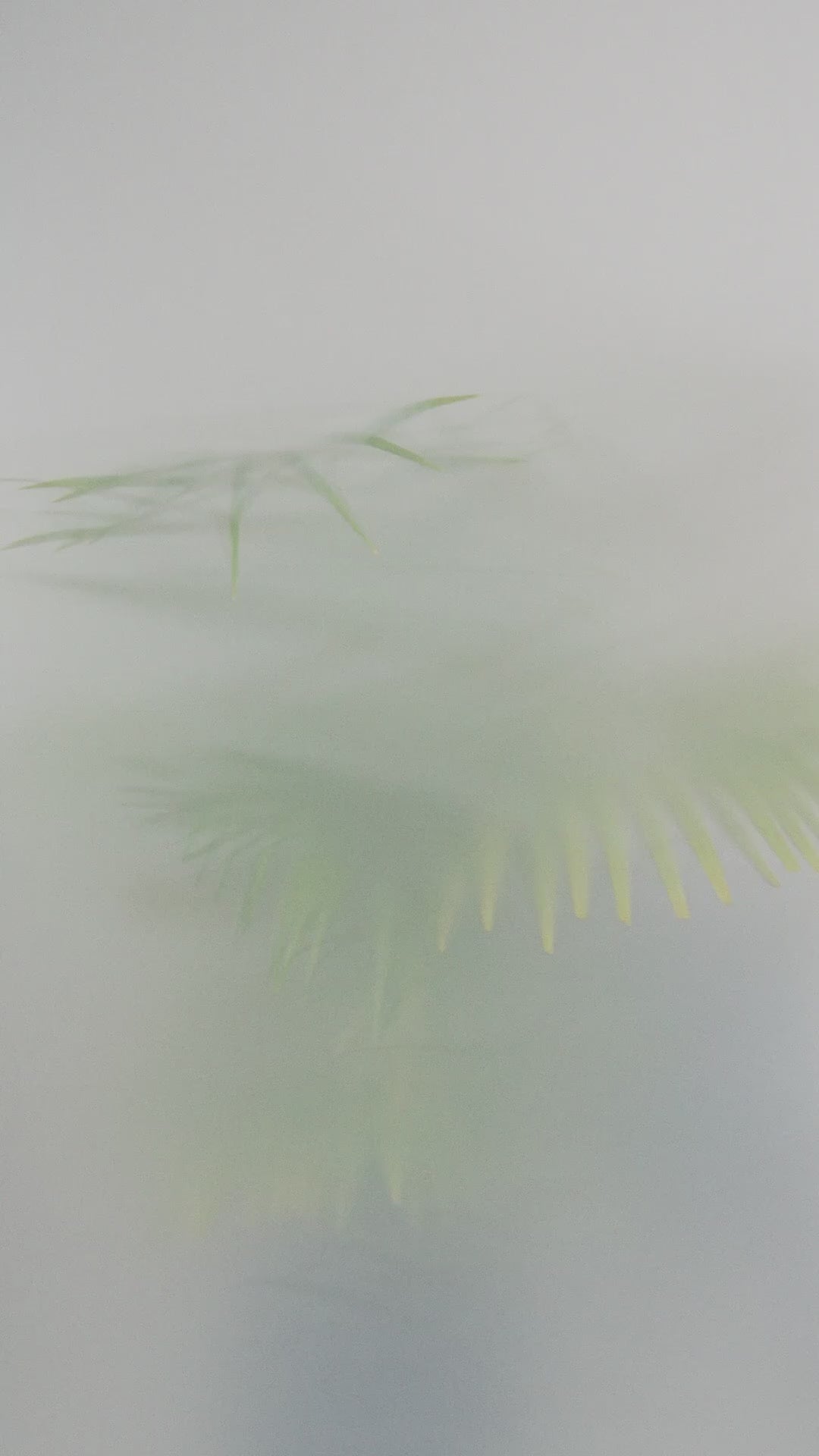 Haut NAYA en jacquard gaufré avec empiècements contrastés